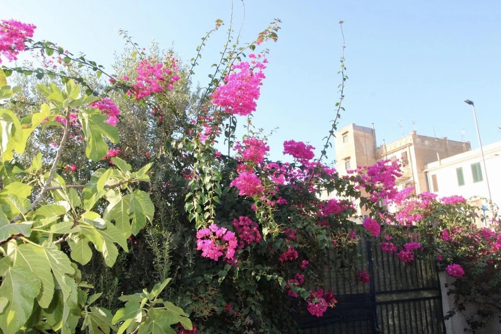 Villa Enza Bellissima Villa Con Piscina 테라시니 이탈리아