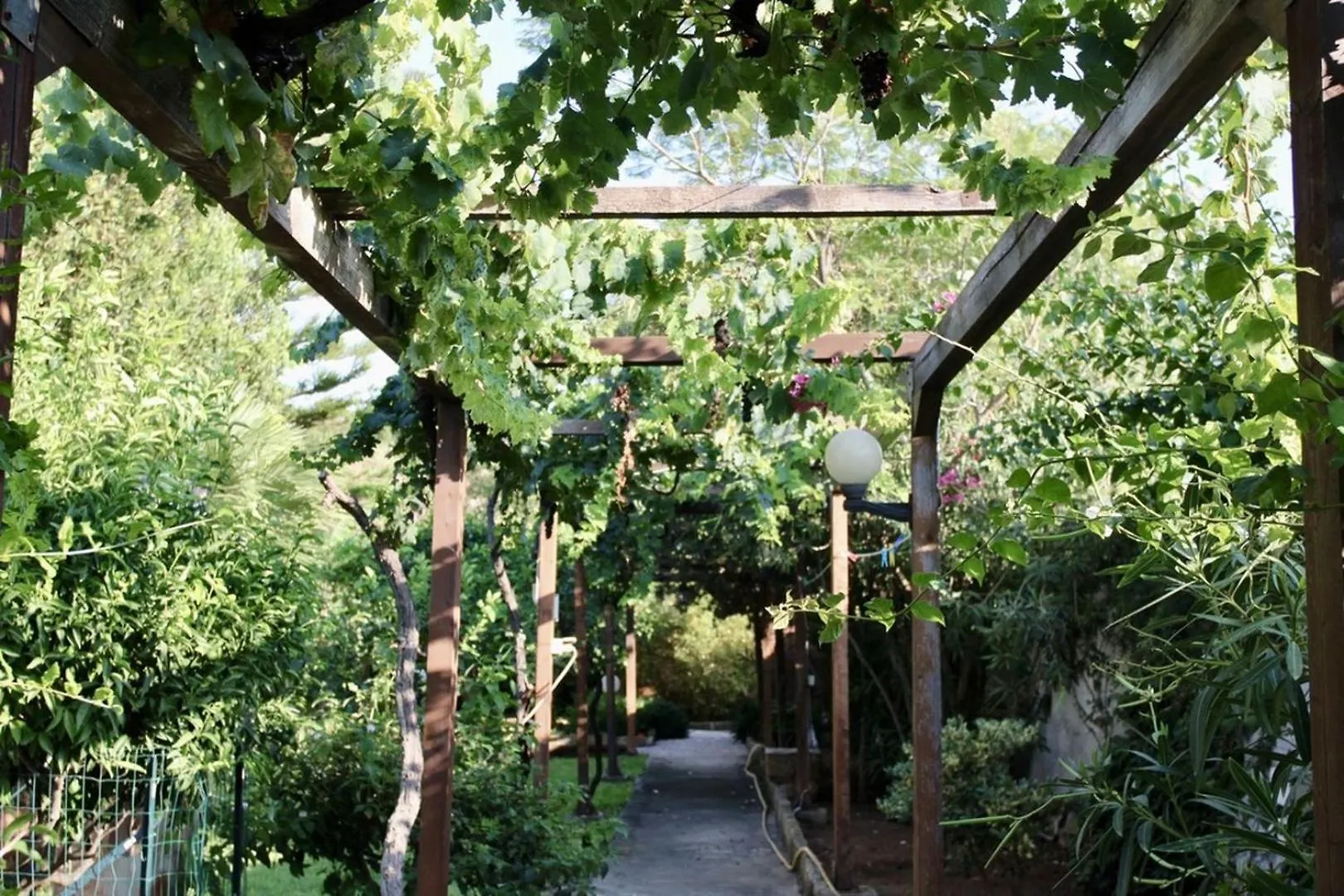 Villa Enza Bellissima Villa Con Piscina 테라시니 이탈리아