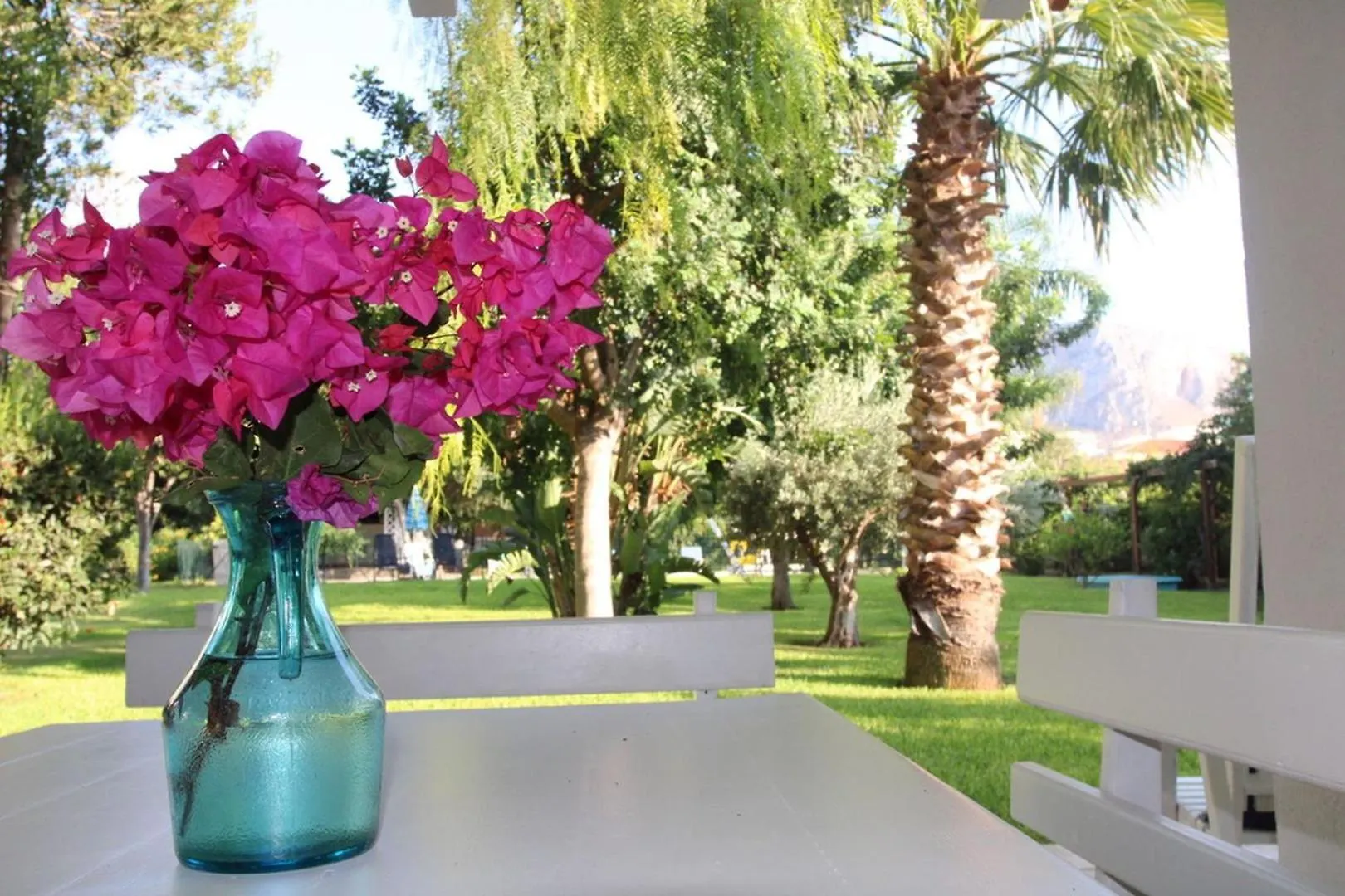 Villa Enza Bellissima Villa Con Piscina 테라시니 이탈리아